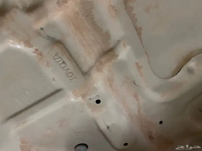 كبوت شاص وكاله 0