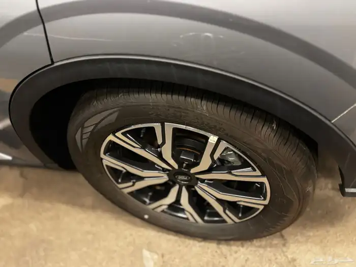 تيريتوري 2026 تريند نص فل وارد الوكيل 8