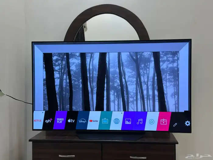 شاشة تلفزيون LG oled 55 بوصة 3