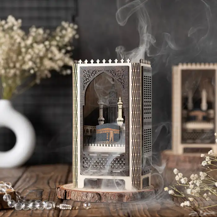 مصورة جدة 16