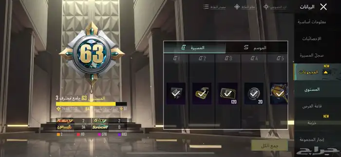 حساب ببجي فخم 13