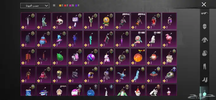 حساب ببجي للبيع 27