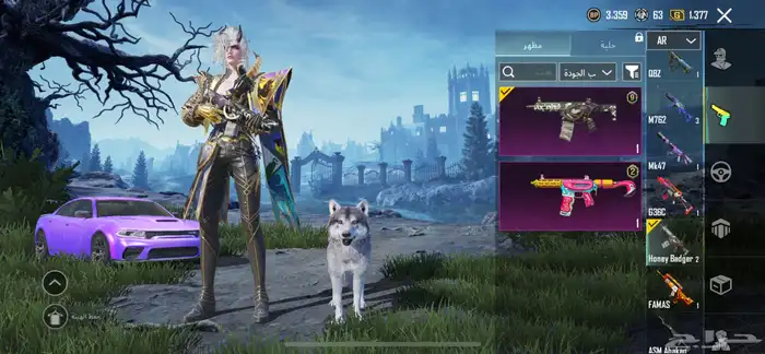 حساب ببجي للبيع 37