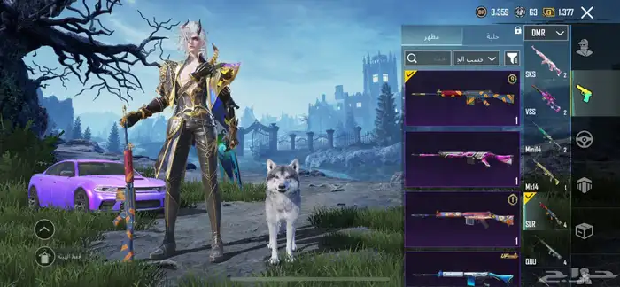 حساب ببجي للبيع 48