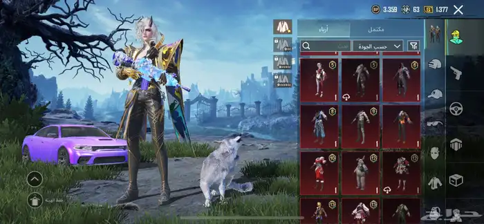 حساب ببجي للبيع 5