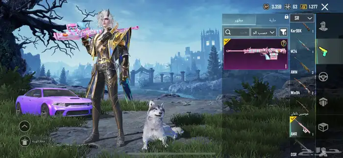 حساب ببجي للبيع 43