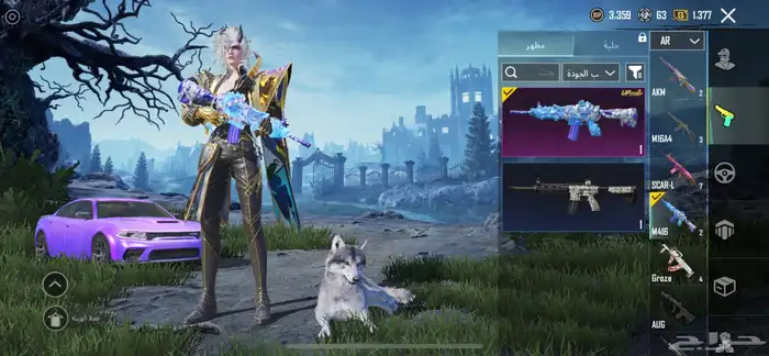 حساب ببجي للبيع 31