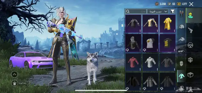 حساب ببجي للبيع 21