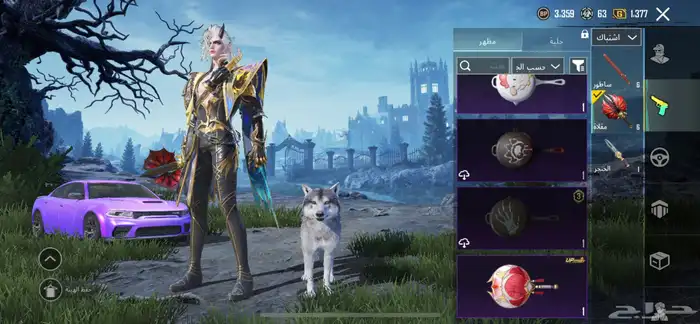 حساب ببجي للبيع 75