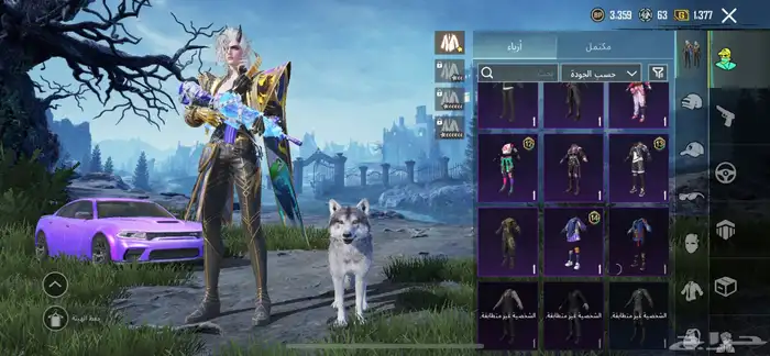 حساب ببجي للبيع 9