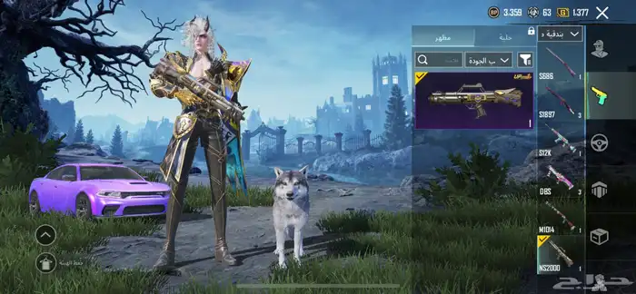 حساب ببجي للبيع 67