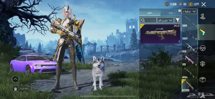 حساب ببجي للبيع 70