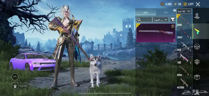 حساب ببجي للبيع 58