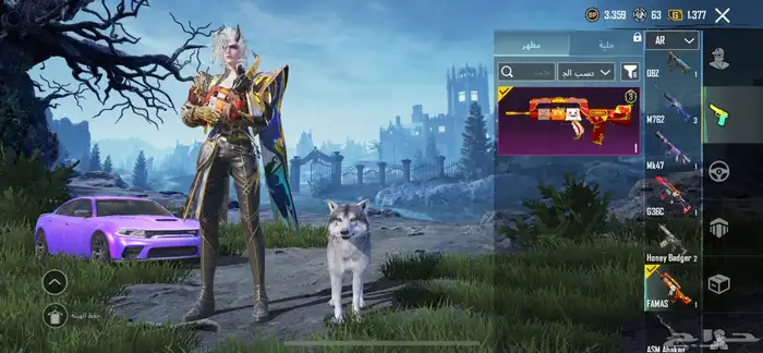 حساب ببجي للبيع 36