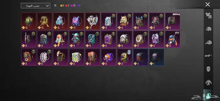 حساب ببجي 29