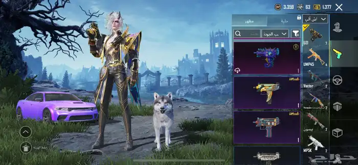 حساب ببجي للبيع 53