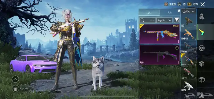 حساب ببجي للبيع 56