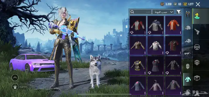 حساب ببجي للبيع 22