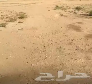 مزرعه دواجن 0