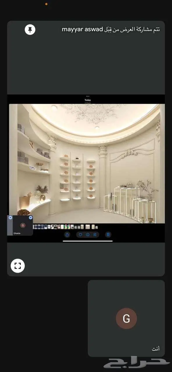 تنظيم معارض 0