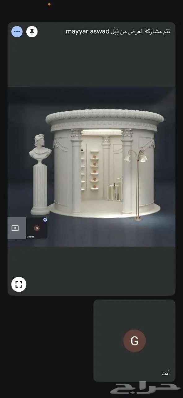 تنظيم معارض 1