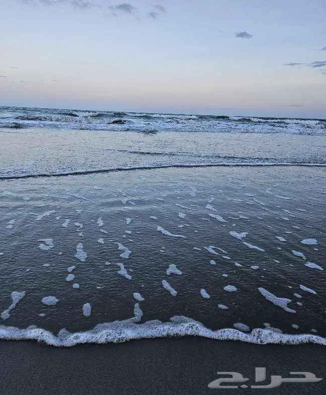 دعم نفسي وتطوير ذات للموظفين والأفراد بإشراف مختص مرخ ص 0