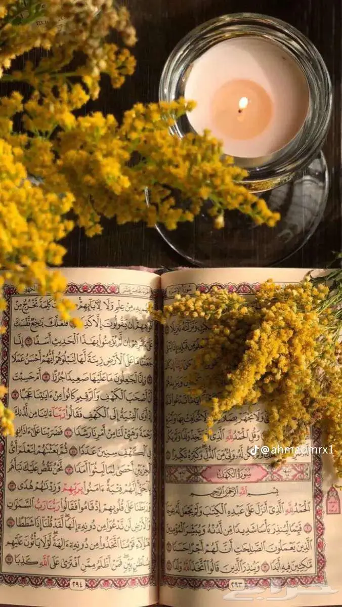 معلمة قران للاطفال تلقين وتجويد..ببطحاء قريش 0