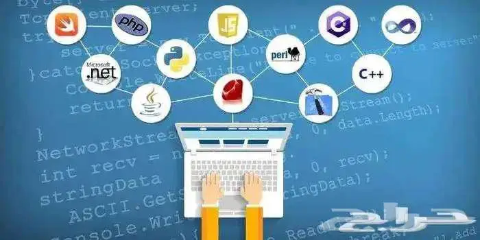 مدرس برمجة طلاب وطالبات الجامعة جافا سي بلس بايثون بي اتش بي 0