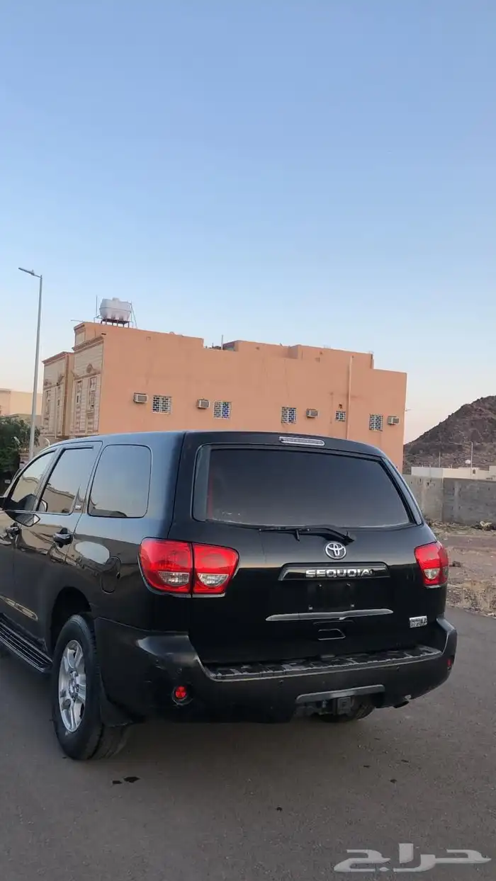 سكويا للبيع 2