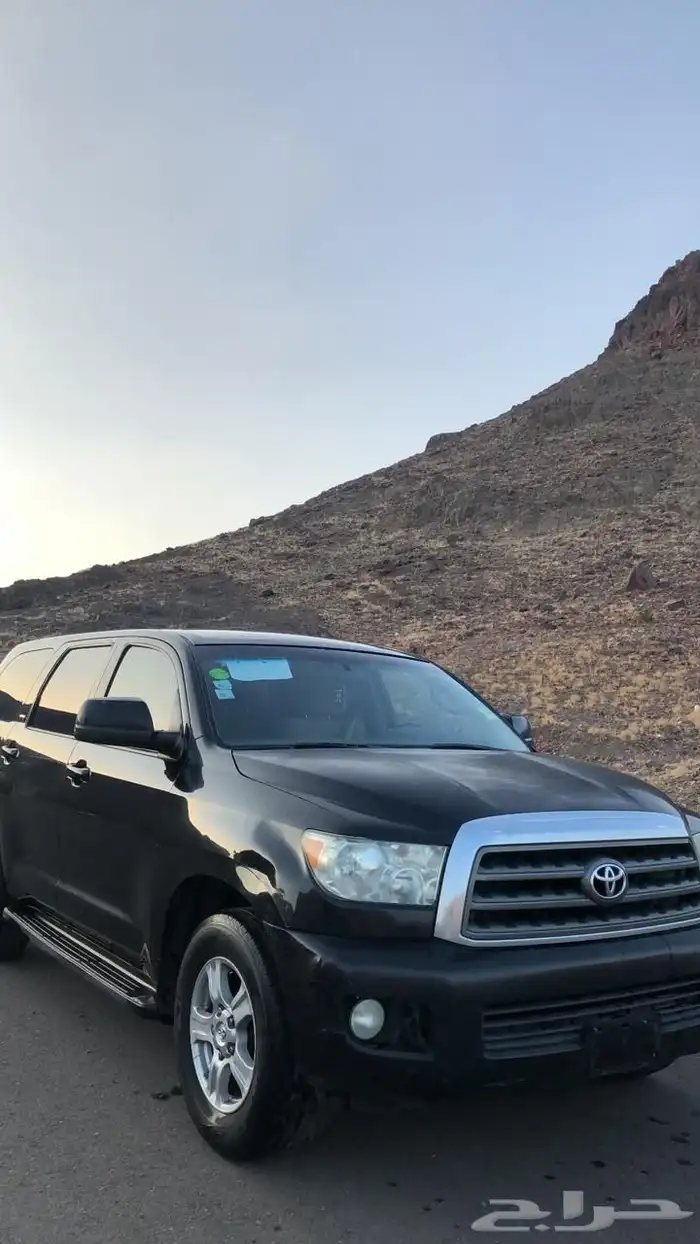 سكويا للبيع 0