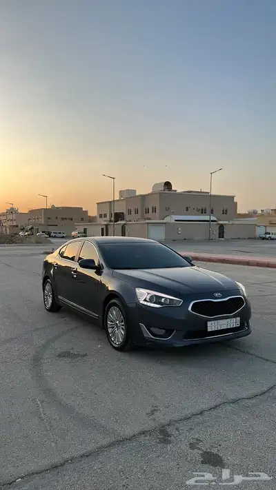 كادينزا 2015 ستاندر index