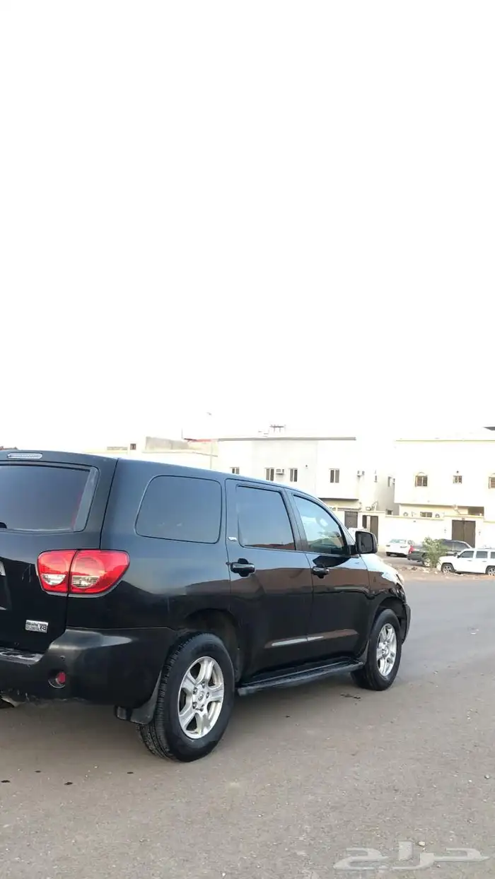 سكويا للبيع 1