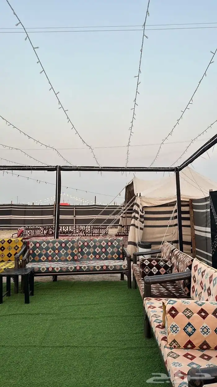 كراسي مع الجلسات للبيع عدد7 0