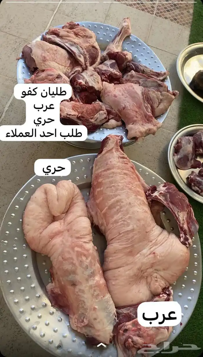 يتوفر لدينا ذبايح كفو وجميع لانواع ولا لأحجام 1