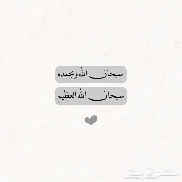 مطلوب شقه عزاب 0