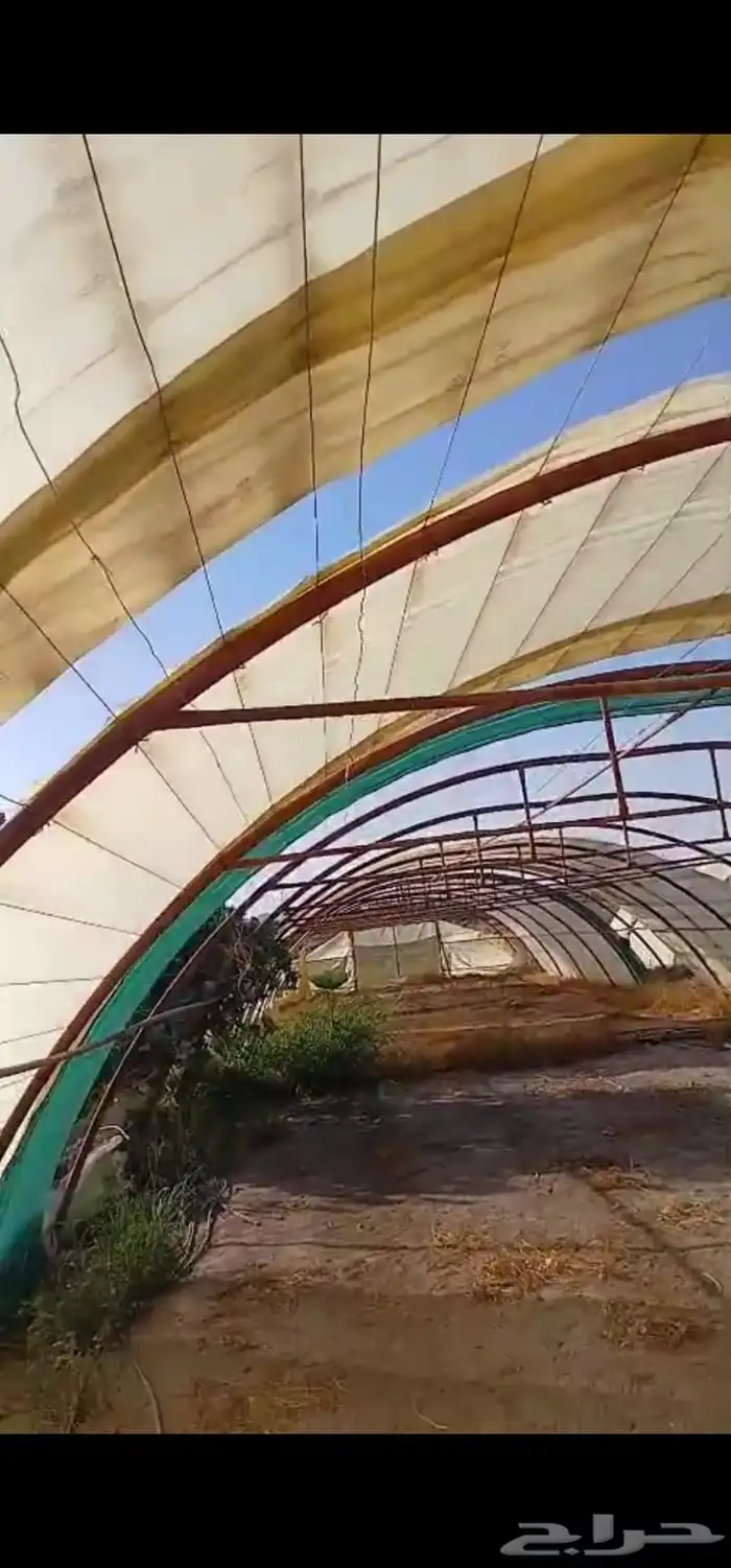 للبيع بيوت محميه وطنيه 0