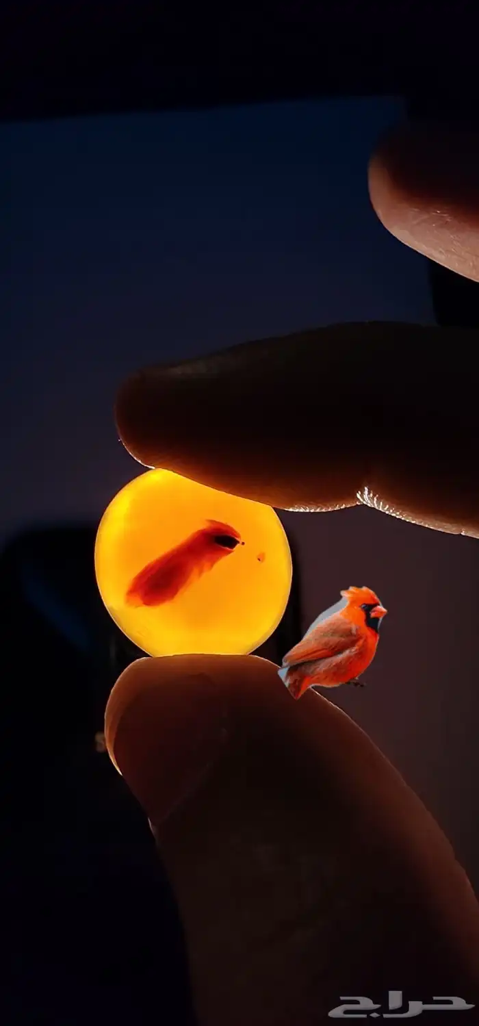 فصوص عقيق يماني مصورات نوادر 0