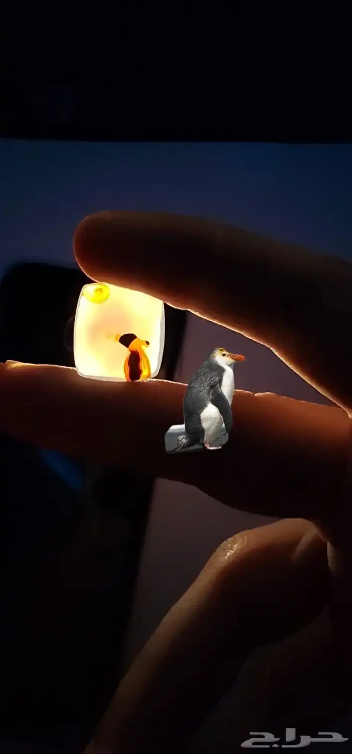 فصوص عقيق يماني مصورات نوادر 3