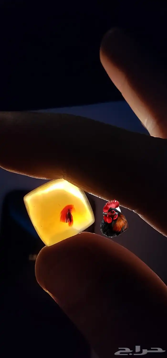 فصوص عقيق يماني مصورات نوادر 1