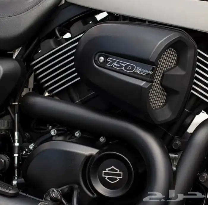 هارلي ستريت رود موديل 2019 1