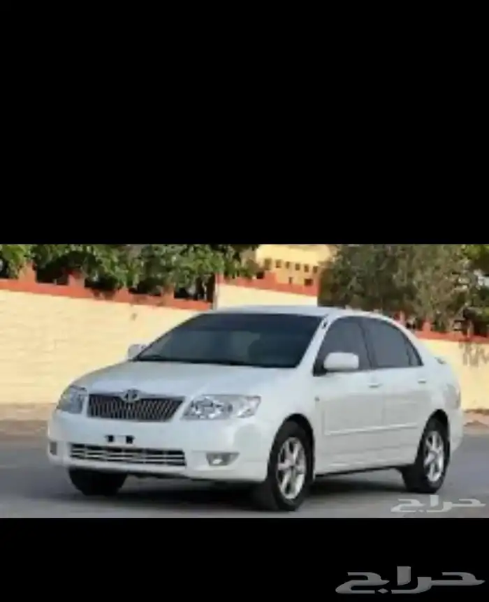 كويلات يارس اصلي وكالة عرض 2