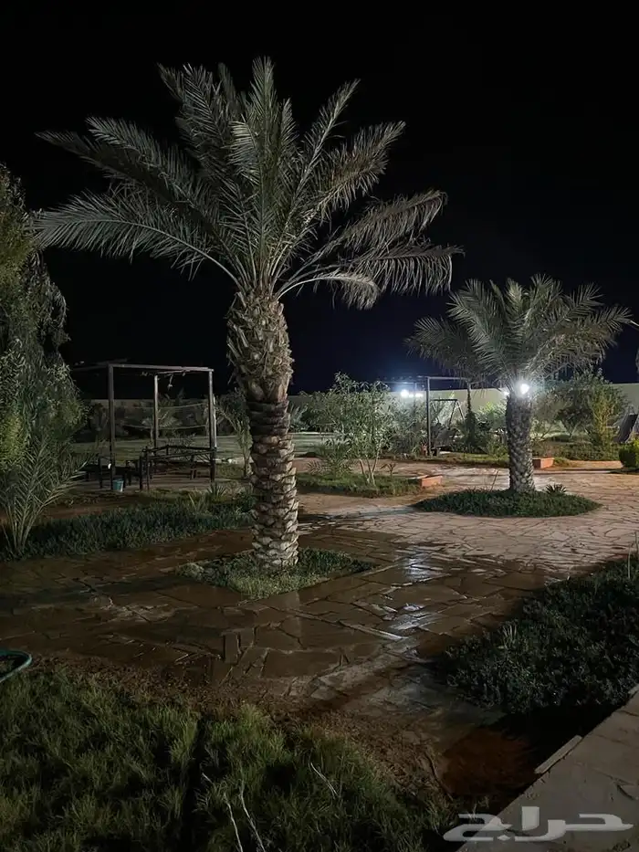 استراحه للايجار اليومي بالقديه ضرما 400 17