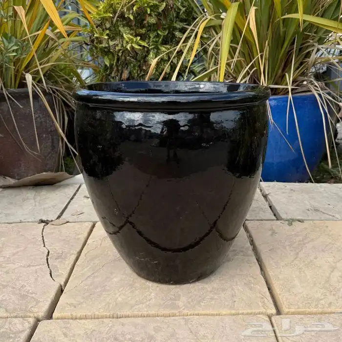 احواض زرعه من world of pots 3