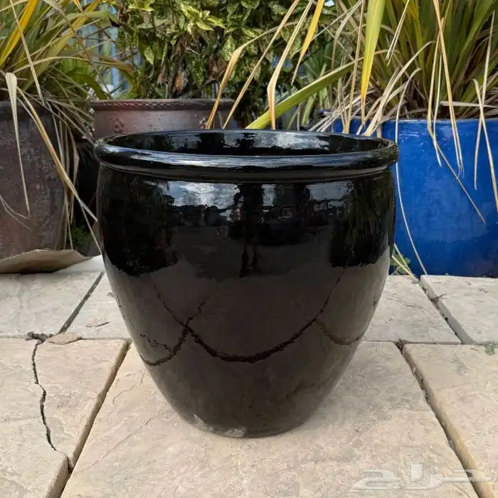 احواض زرعه من world of pots 6