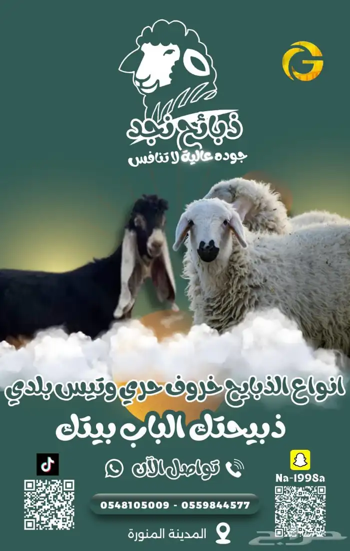 تيوس وطليان حريه 0