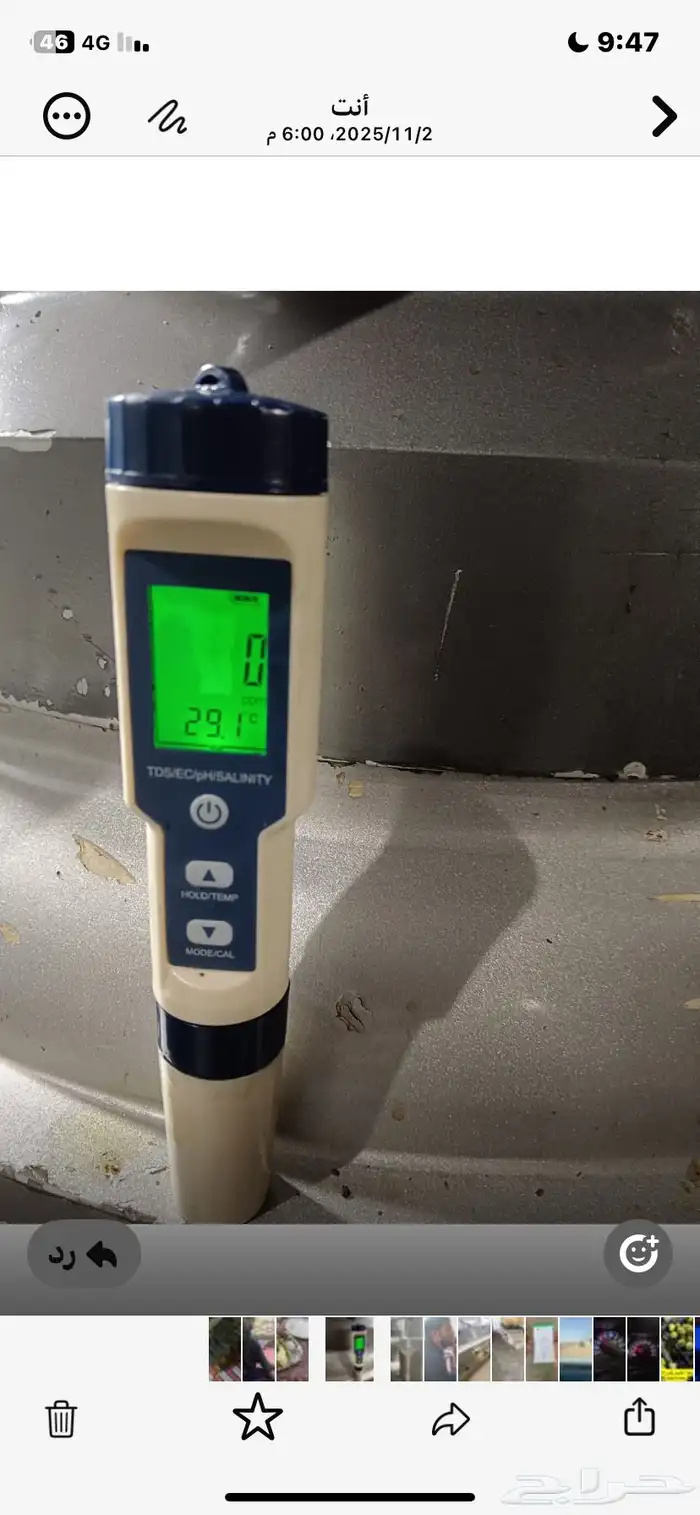 زيت زيتون للبيع 3