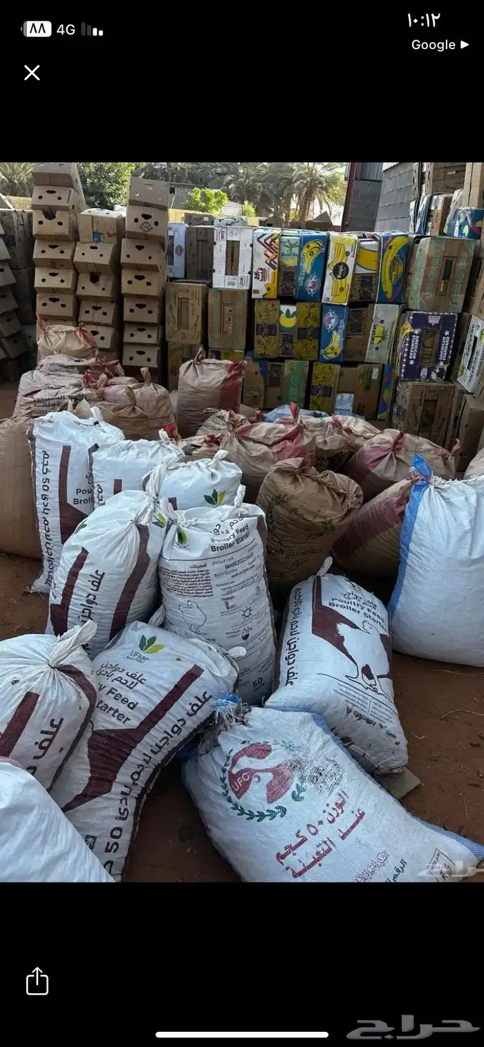 تمر حق حلال نظيف حمله دينه 3