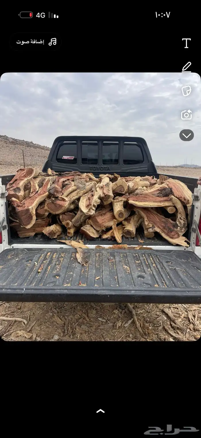 سمر مسح صندرق حطب 0