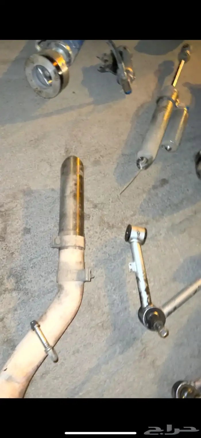 كت كورسا اصلي للجموس للبيع 2