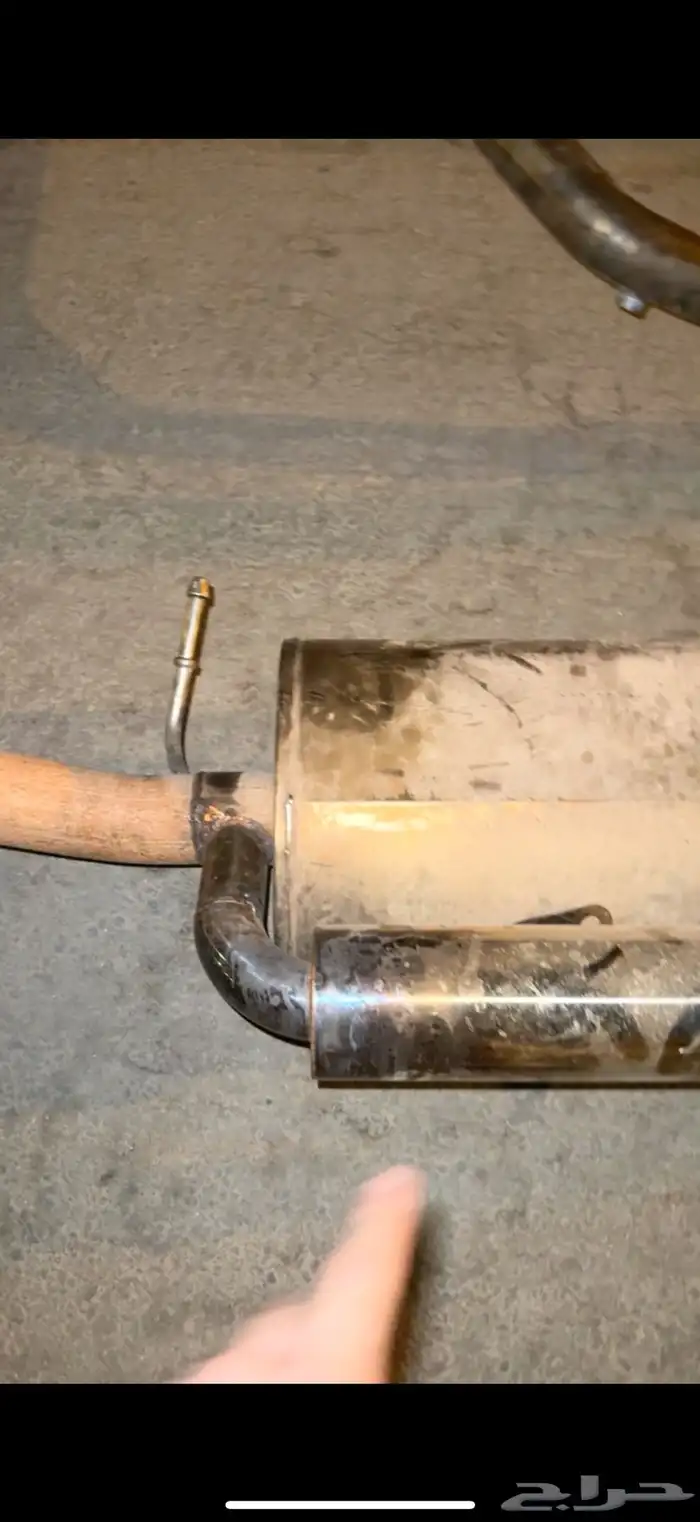 كت كورسا اصلي للجموس للبيع 0